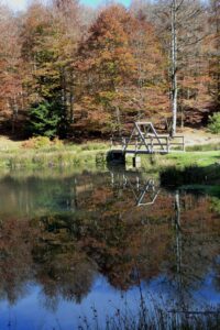 Le pont